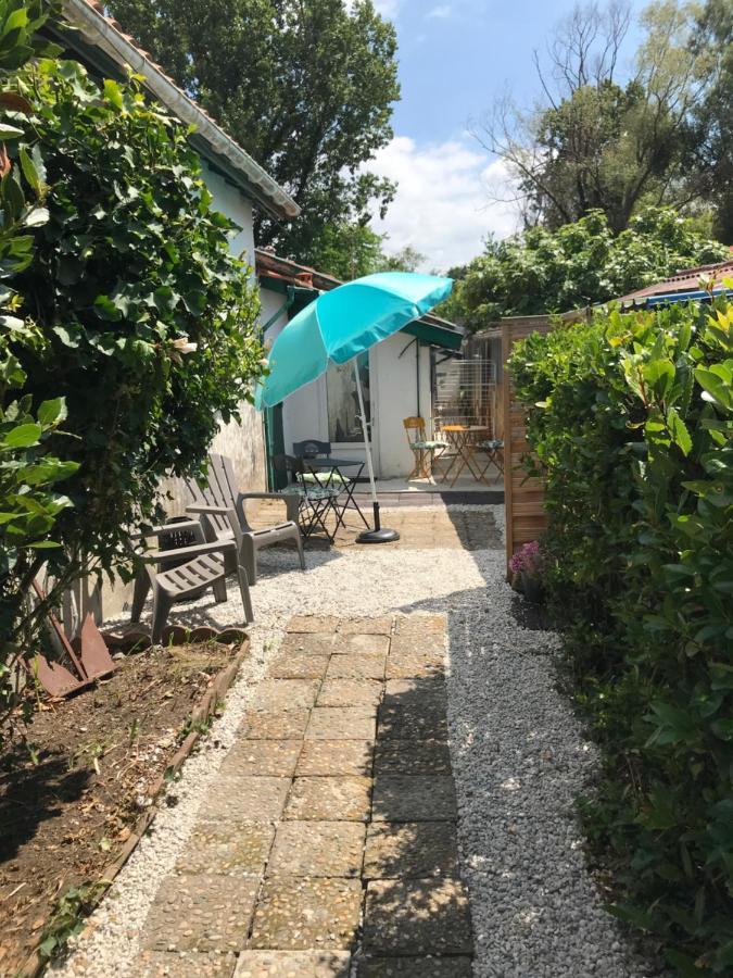 Appartement Entre Ocean Et Montagne 15Bis Avenue De Montbrun Anglet Exterior photo
